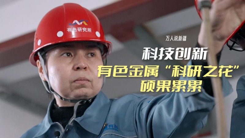 科技公司常见组织架构分类：构建高效协作的基石